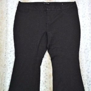 Maurices Women's Dress Pants Stretch Dark Charcoal